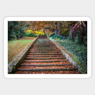 Autumnal Stairs Sticker